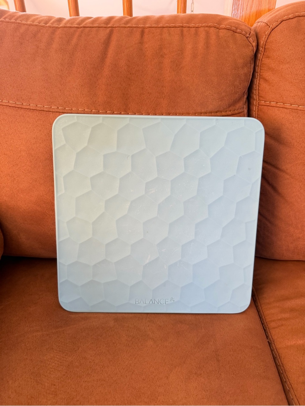 Greater Goods Bathroom Scale with a Textured Silicone Cover in the color Aqua.